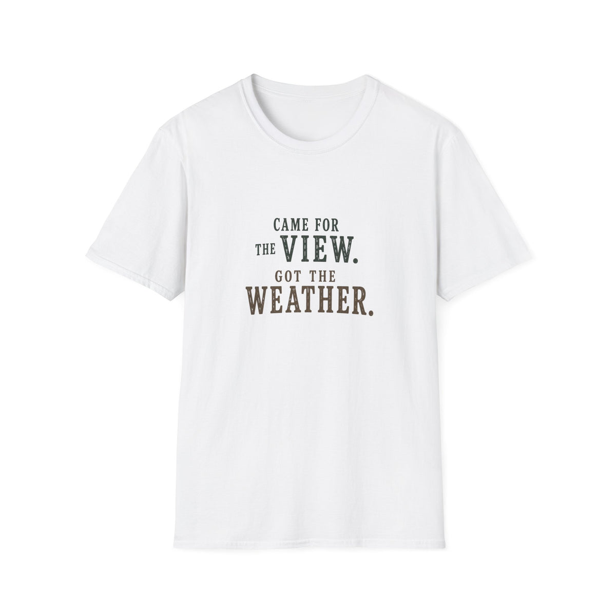 Came For The View. Got The Weather. T‑Shirt